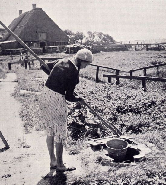 Sod auf einer Hallig Foto: Albert Bantelmann