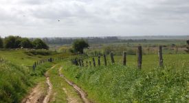 Blick von den Zwiebergen auf die Eiderniederung (c) DM.jpg