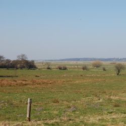 Blick von Windbergen in die Marsch. Foto: (c) Dirk Meier